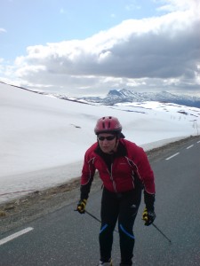 Knut