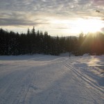 IMG_4109