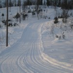 IMG_4110