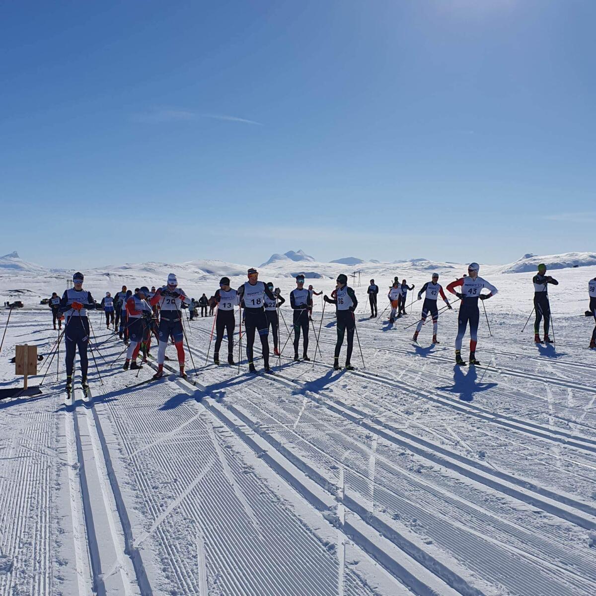 Løpere i startfeltet på Beiarfjellet en solskinnsdag, klare i sporet